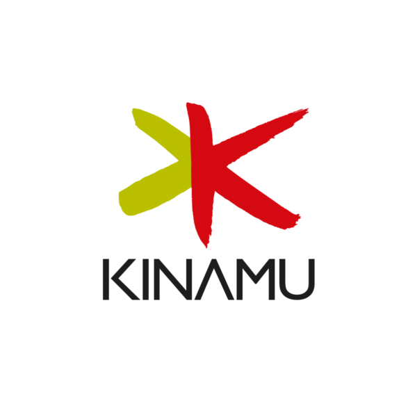 Kinamu Business Solutions GmbH